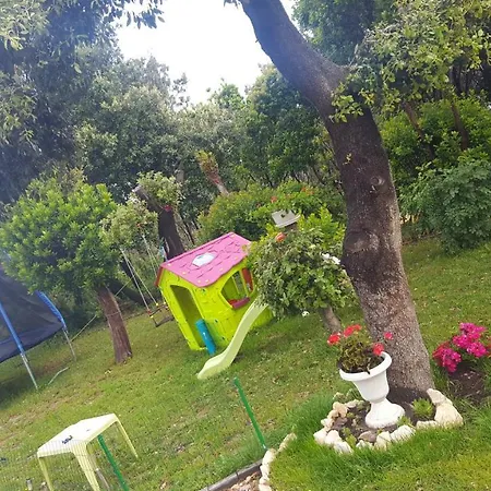 Apartmani 